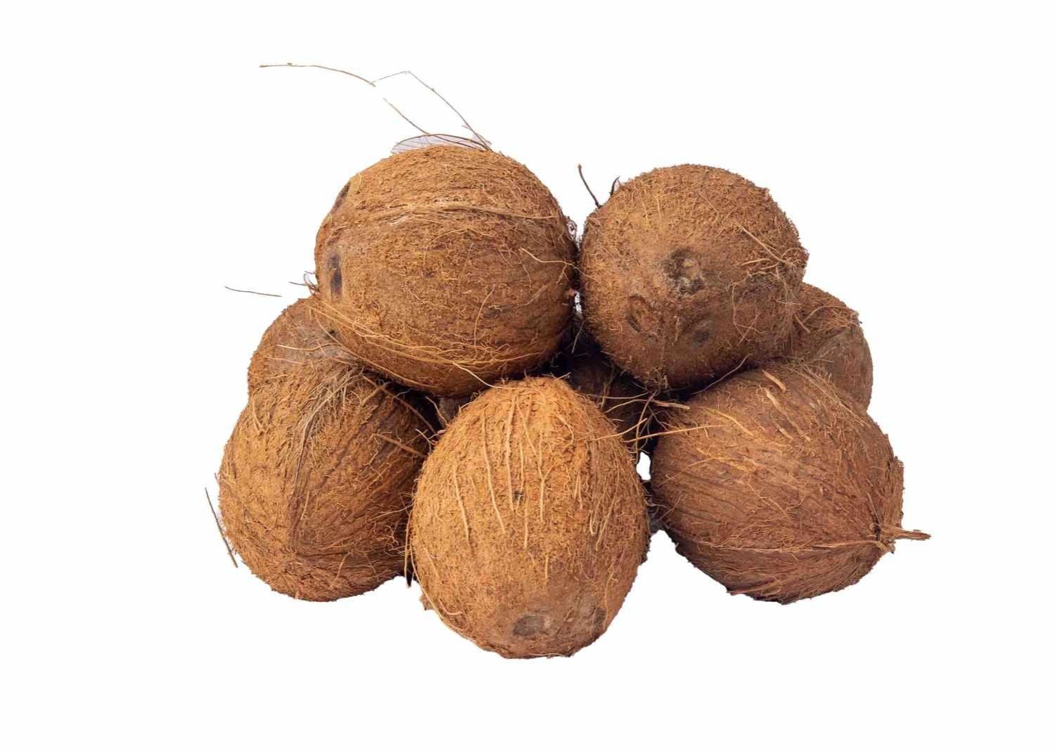 Nariyal (Coconut Without Skin, With Shell) - নারিকেল