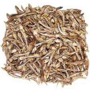 Icha Shutki (Dry Shrimp) - ইচা শুটকি