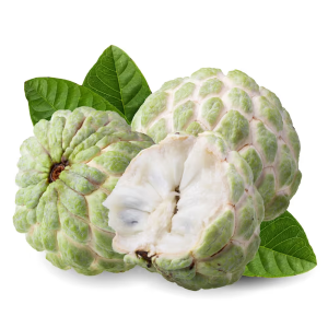 Custard Apple - Atemoya (Fresh)