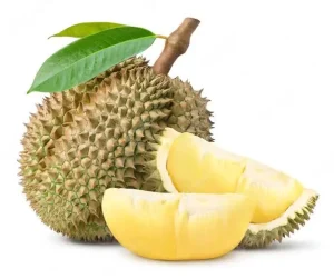 Durian (Fresh)