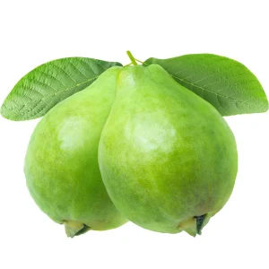Guava Egyptian (Fresh)
