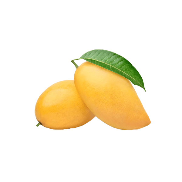 Kesar Mango (500g Fresh Kesar Mango) – কেসার আম – Shodai